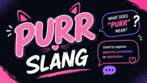 purr slang