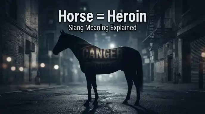 Horse = Heroin