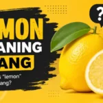 lemon meaning slang