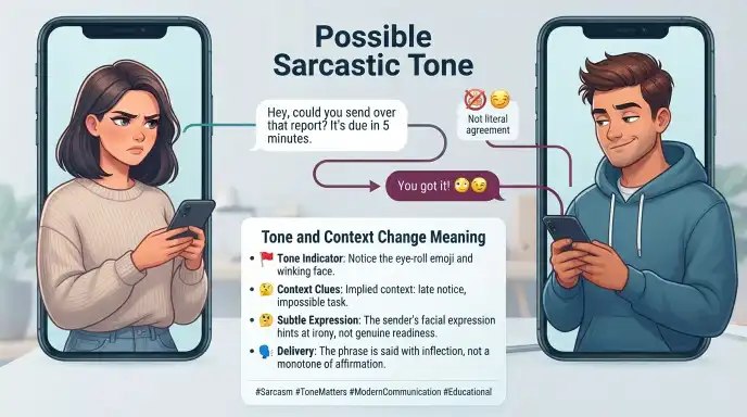 Possible Sarcastic Tone